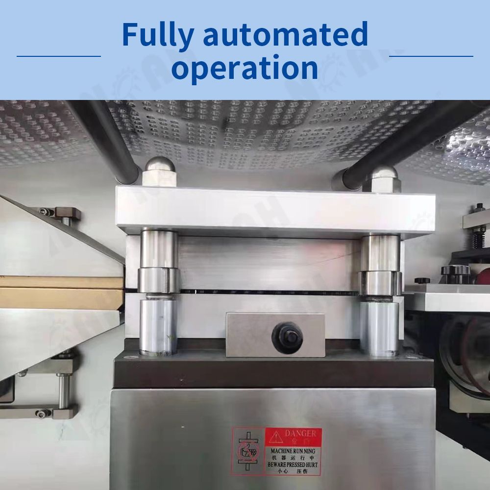 DPH-260+ZH-220 Automatic Blister Cartoning Machine Line